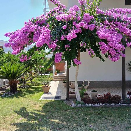 Vila Adriatik Ulcinj Exterior foto